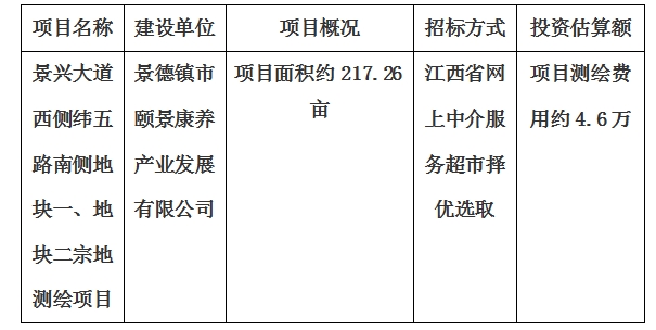 景興大道西側(cè)緯五路南側(cè)地塊一、地塊二宗地
